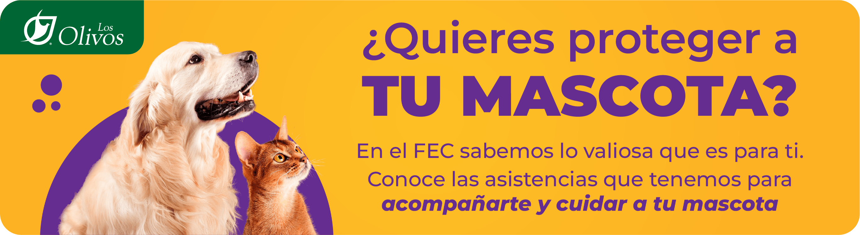 productos de ahorro FEC
