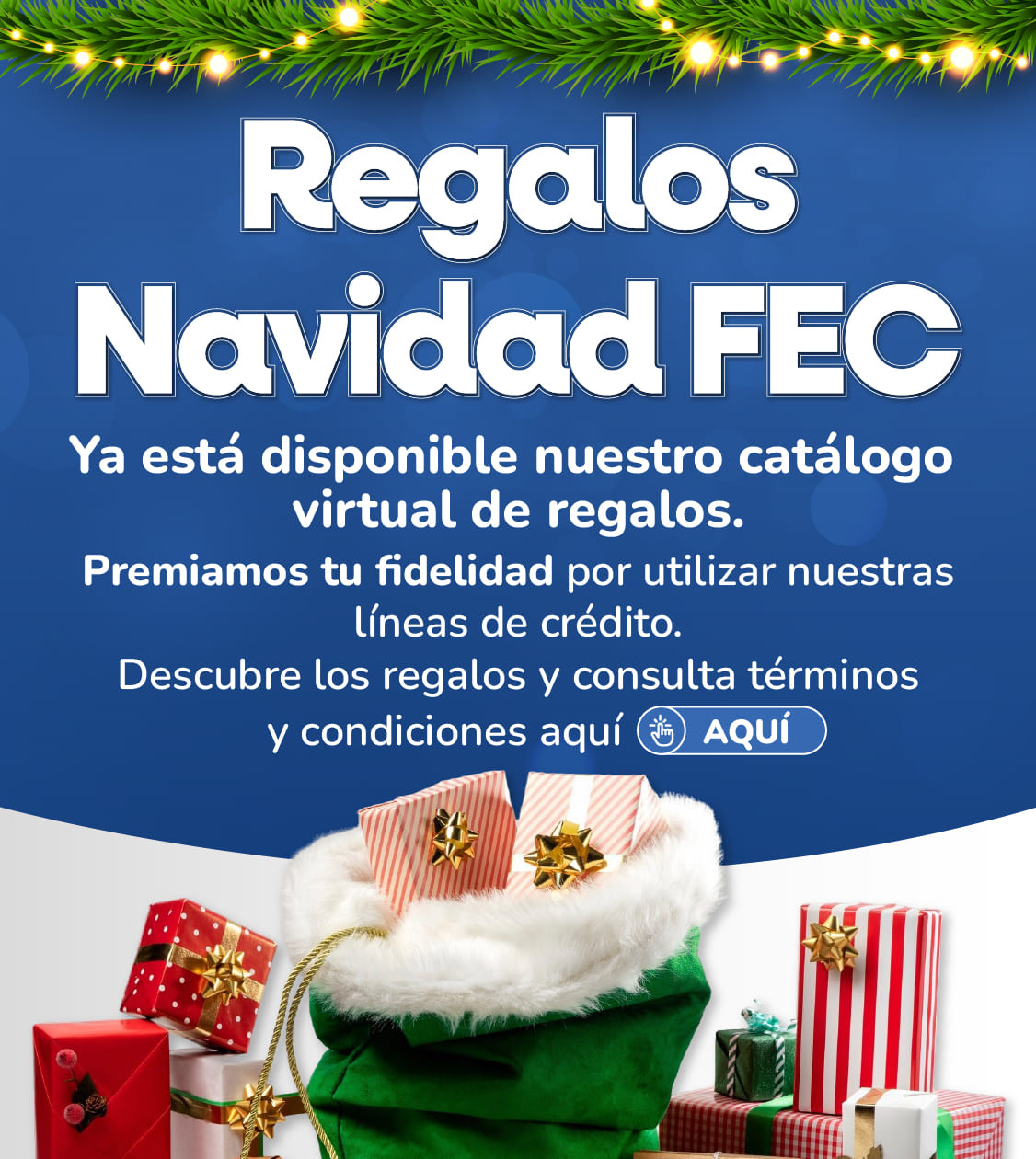 Regalos Navidad FEC