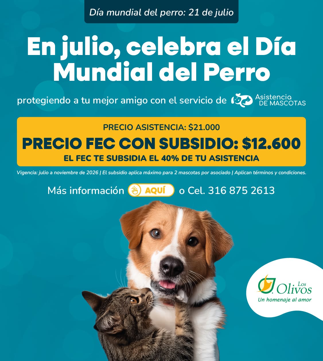 Asistencia Mascotas - Olivos